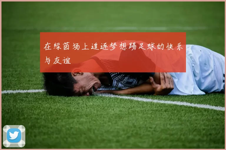 在绿茵场上追逐梦想踢足球的快乐与友谊