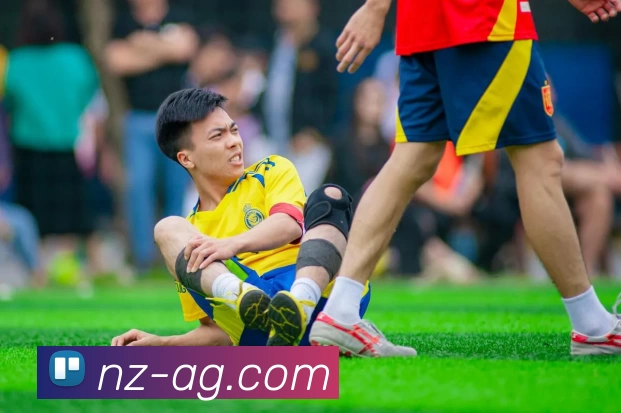 App Interface Preview